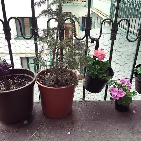 Apartment Cosy Apt Bastova